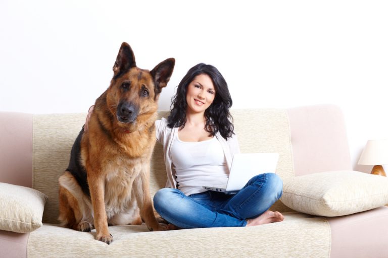 How long do German Shepherds live