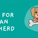 Best Dog Food for German Shepherds With Skin Allergies