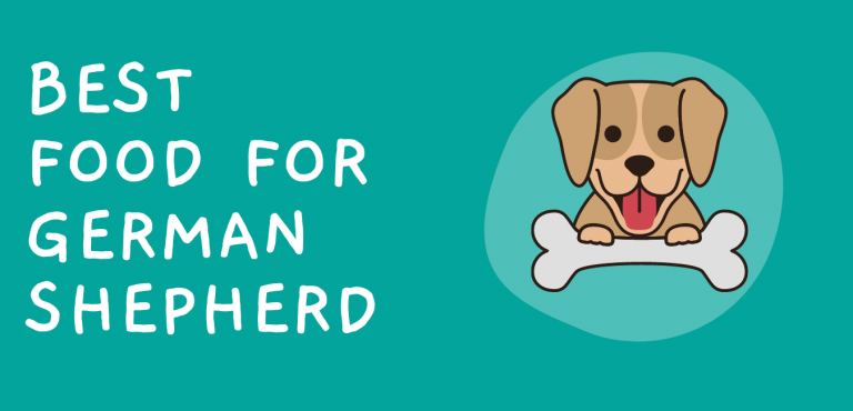 Best Dog Food for German Shepherds With Skin Allergies