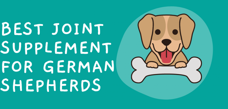 Best Joint Supplements for German Shepherds