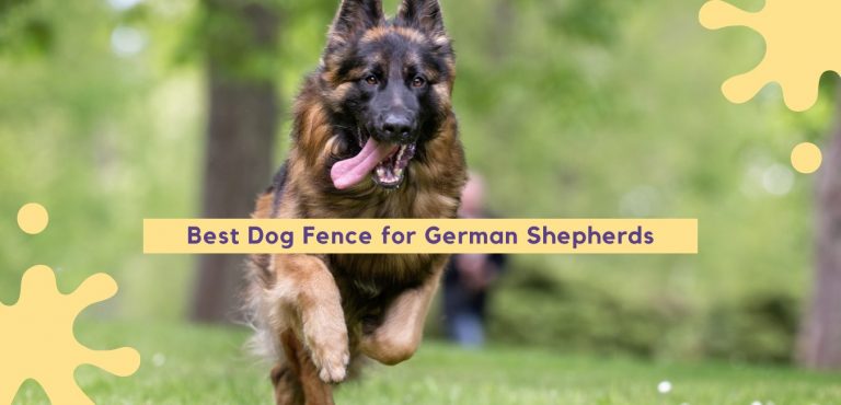 Best Dog Fence for German Shepherds