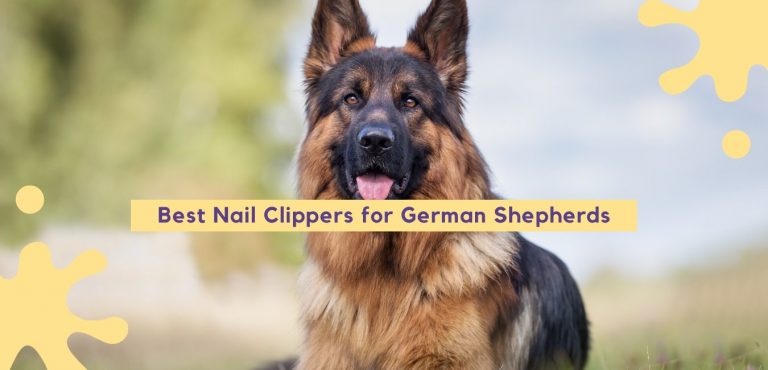 Best Nail Clippers for German Shepherds