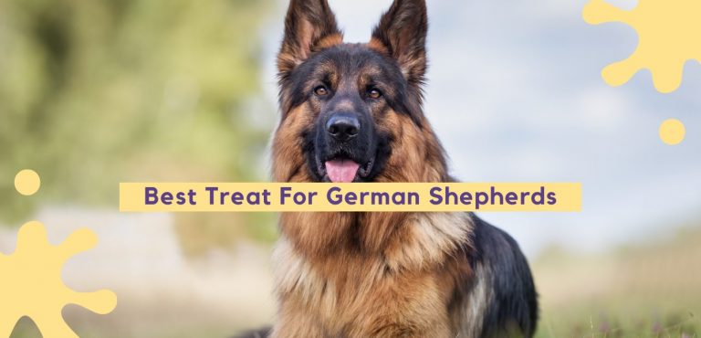 Best Treats For German Shepherds