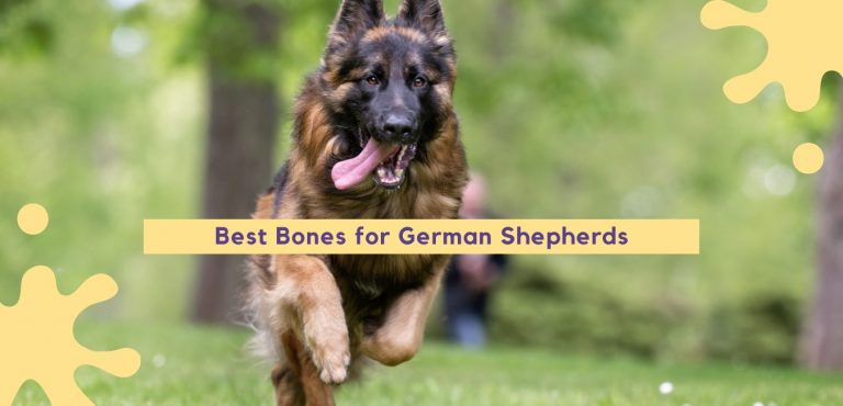 Best Bones for German Shepherds