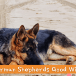 Are German Shepherds Good With Kids