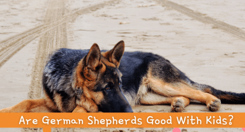 Are German Shepherds Good With Kids