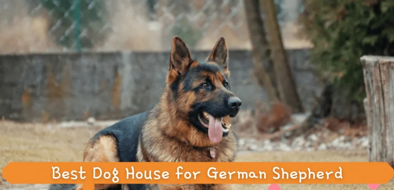 Best Dog House for German Shepherd