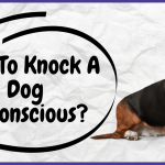 How To Knock A Dog Unconscious