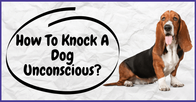 How To Knock A Dog Unconscious
