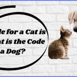 If the Code for a Cat is ECV What is the Code for a Dog