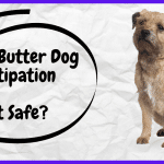 Peanut Butter Dog Constipation