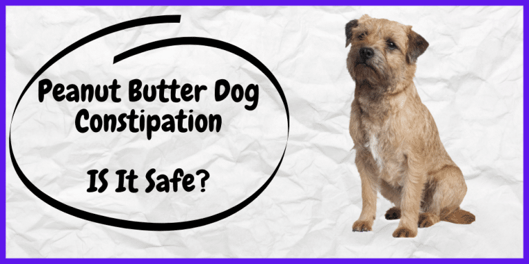 Peanut Butter Dog Constipation