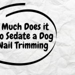 How Much Does it Cost to Sedate a Dog for Nail Trimming