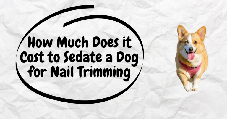How Much Does it Cost to Sedate a Dog for Nail Trimming