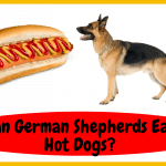 Can German Shepherds Eat Hot Dogs