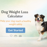Dog Weight Loss Calculator