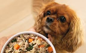 Homemade Dog Food Calculator by Weight