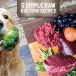 Raw Dog Food Calculator