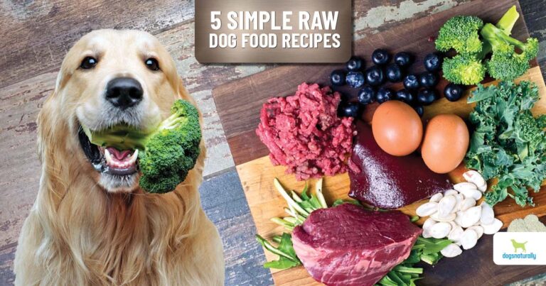 Raw Dog Food Calculator