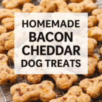 Homemade Bacon Cheddar Dog Treats