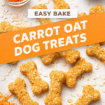 Carrot Oat Dog Treat Recipe