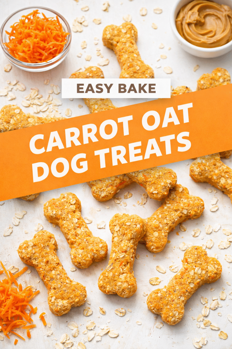 Carrot Oat Dog Treat Recipe