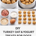 DIY Turkey, Oat & Yogurt Treats for Dogs