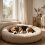 Beagle sleeping in a dog bed tucked into a cosy small apartment corner.