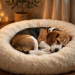 Small beagle curled tightly in a round plush faux-fur calming donut bed in a warm living room corner.
