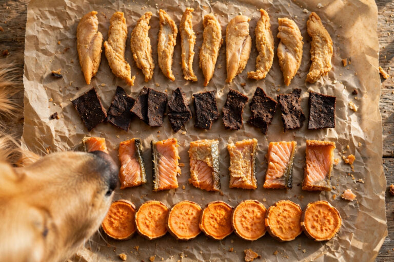 Single-ingredient dog treats — dehydrated chicken, beef liver, salmon skin and sweet potato chews arranged on parchment paper.